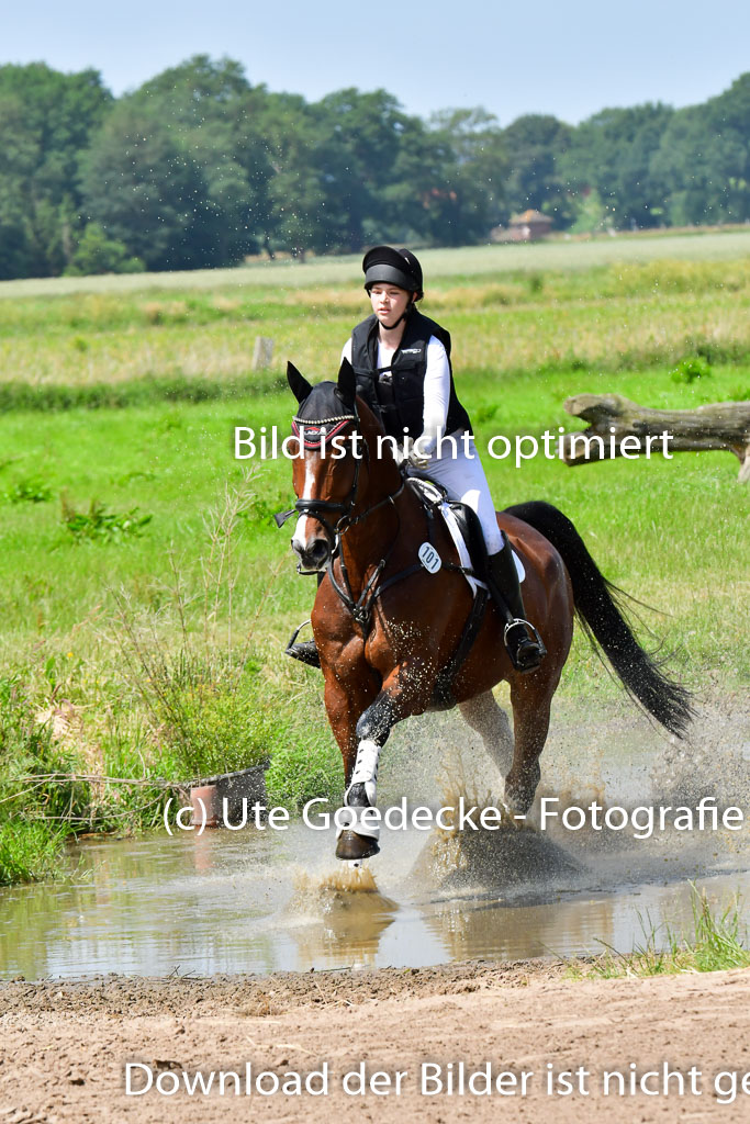 Goldene Schärpe PFerde  in Löningen  11+12.6.22 | 11062022 - Gelände 1 Abt_1254 