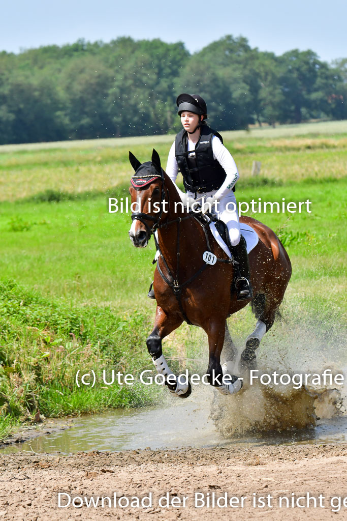 Goldene Schärpe PFerde  in Löningen  11+12.6.22 | 11062022 - Gelände 1 Abt_1255