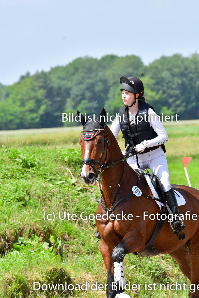 Goldene Schärpe PFerde  in Löningen  11+12.6.22 | 11062022 - Gelände 1 Abt_1256 