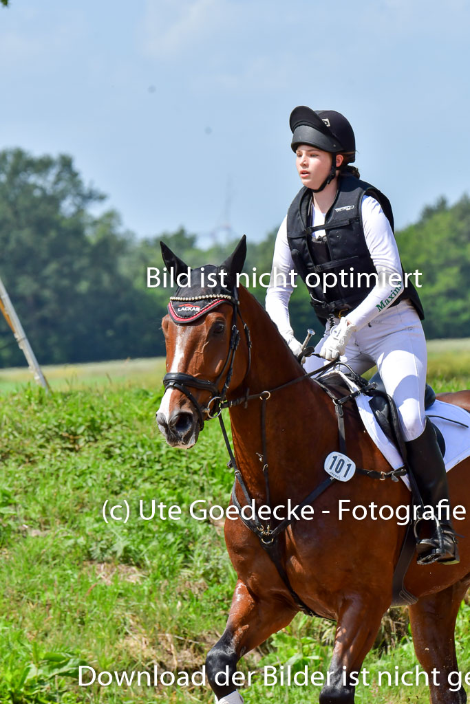 Goldene Schärpe PFerde  in Löningen  11+12.6.22 | 11062022 - Gelände 1 Abt_1257 