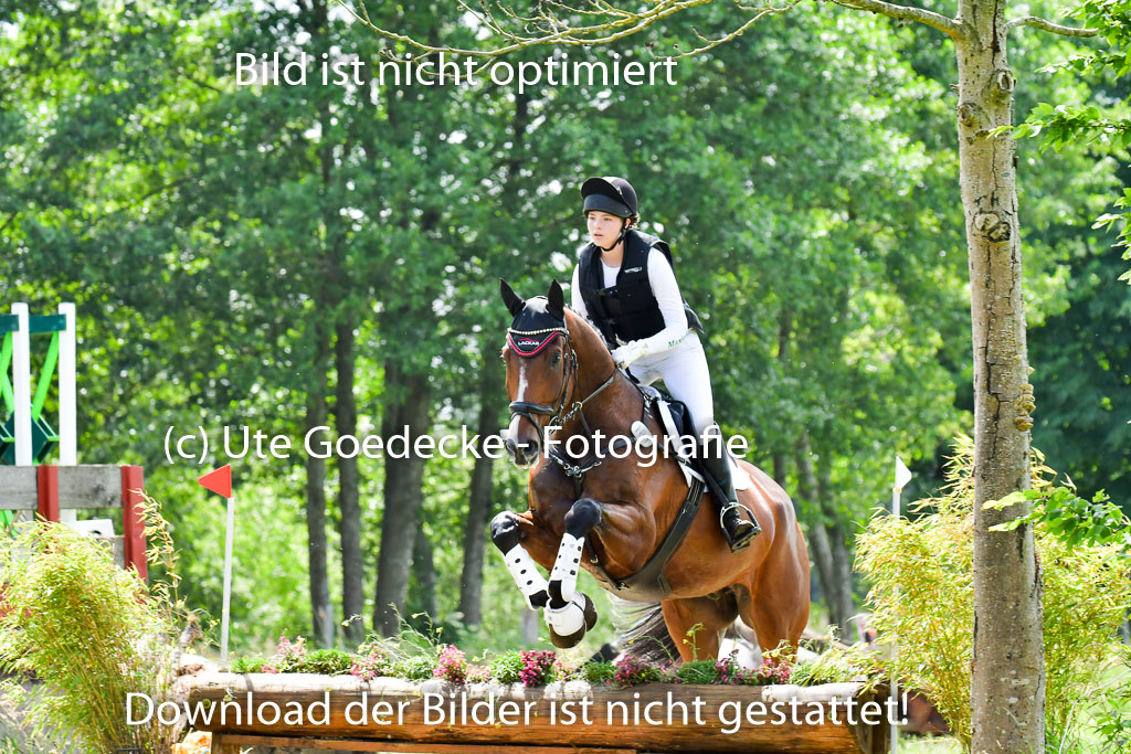 Goldene Schärpe PFerde  in Löningen  11+12.6.22 | 11062022 - Gelände 1 Abt_1258 