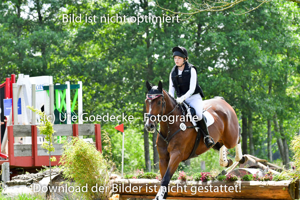 Goldene Schärpe PFerde  in Löningen  11+12.6.22 | 11062022 - Gelände 1 Abt_1259