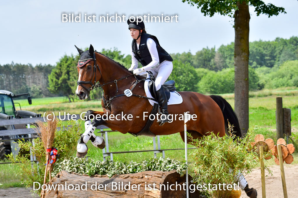 Goldene Schärpe PFerde  in Löningen  11+12.6.22 | 11062022 - Gelände 1 Abt_1264