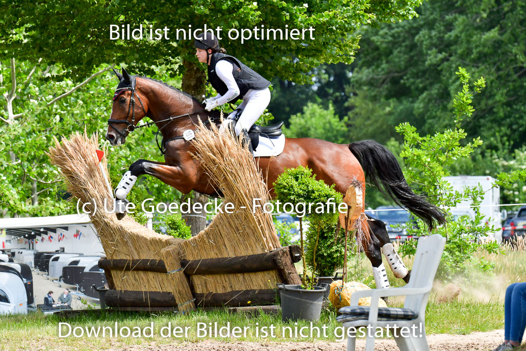 Goldene Schärpe PFerde  in Löningen  11+12.6.22 | 11062022 - Gelände 1 Abt_1265