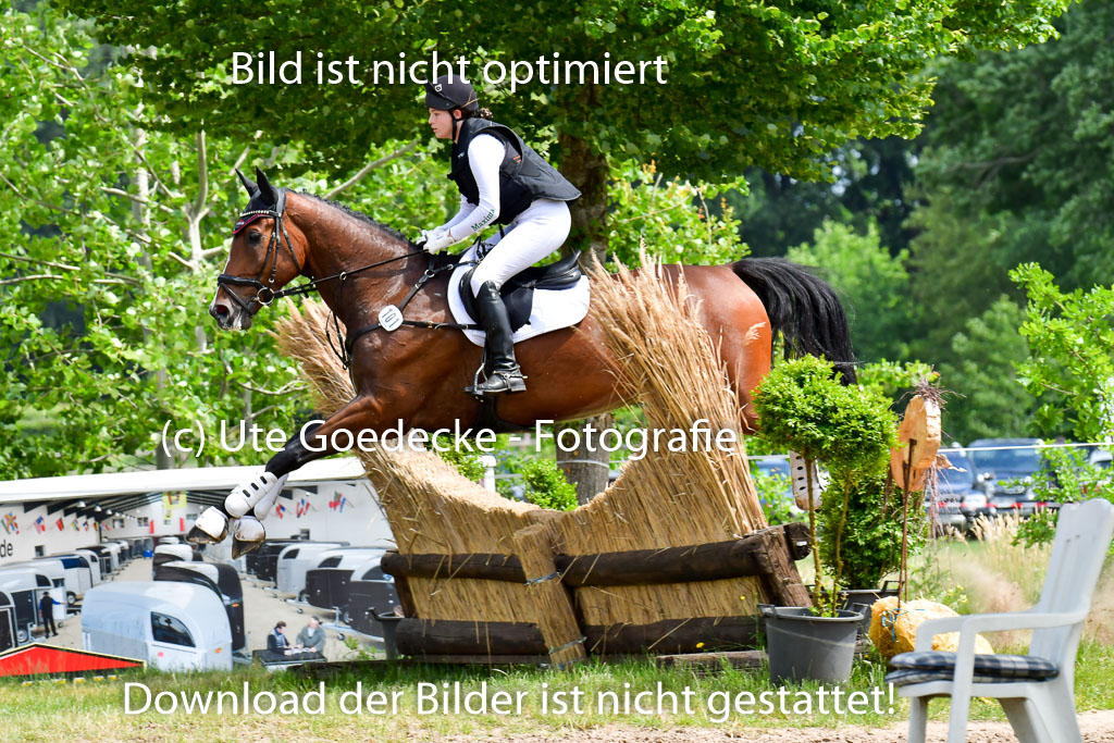 Goldene Schärpe PFerde  in Löningen  11+12.6.22 | 11062022 - Gelände 1 Abt_1266 