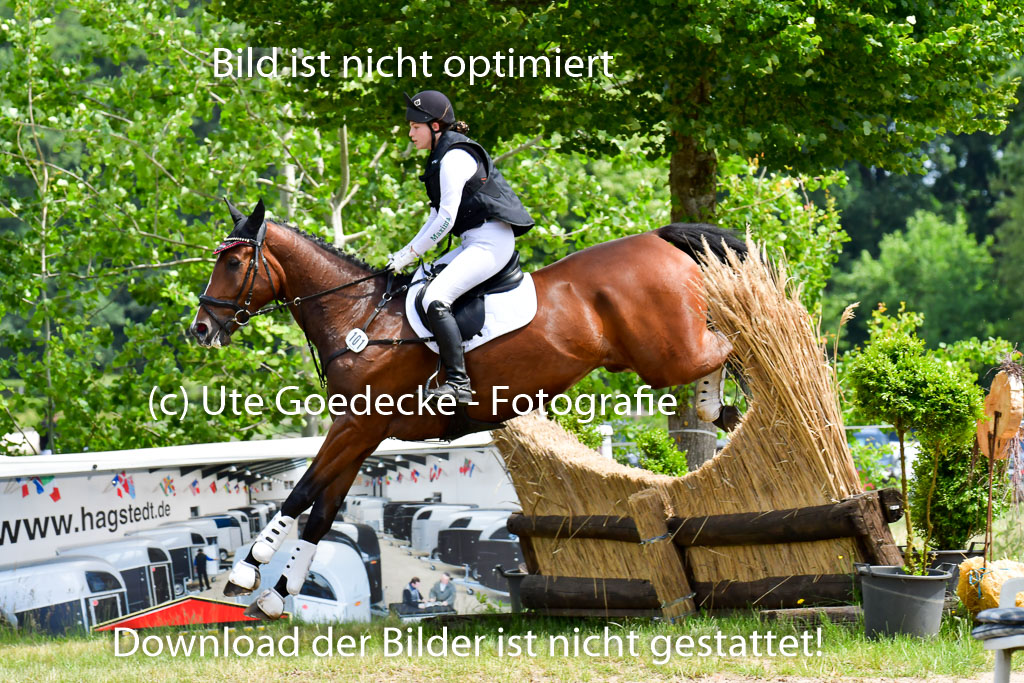 Goldene Schärpe PFerde  in Löningen  11+12.6.22 | 11062022 - Gelände 1 Abt_1267 