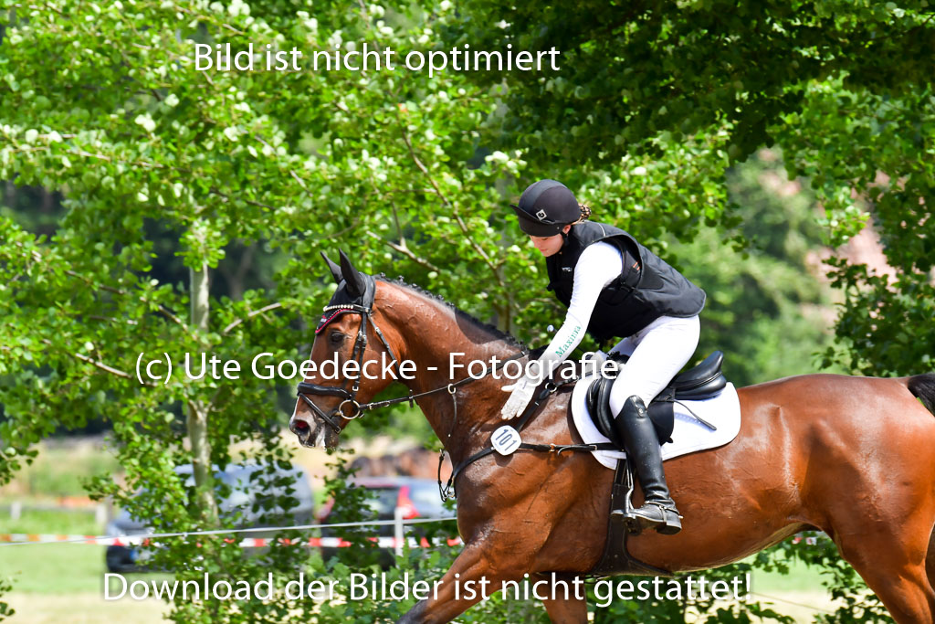 Goldene Schärpe PFerde  in Löningen  11+12.6.22 | 11062022 - Gelände 1 Abt_1268 