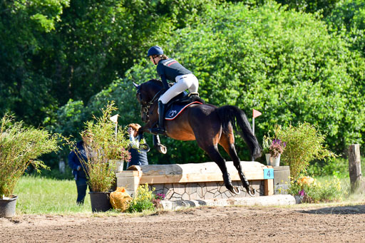 Goldene Schärpe PFerde  in Löningen  11+12.6.22 | 11062022 - Gelände 1 Abt_0001 