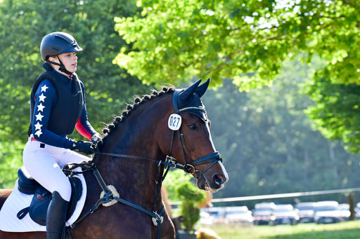 Goldene Schärpe PFerde  in Löningen  11+12.6.22 | 11062022 - Gelände 1 Abt_0022 