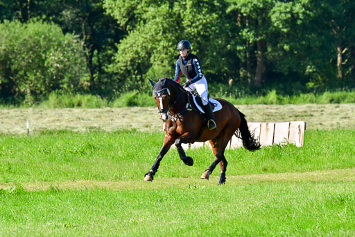 Goldene Schärpe PFerde  in Löningen  11+12.6.22 | 11062022 - Gelände 1 Abt_0027 
