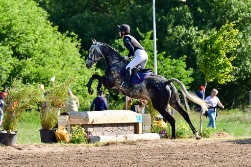 Goldene Schärpe PFerde  in Löningen  11+12.6.22 | 11062022 - Gelände 1 Abt_0036 