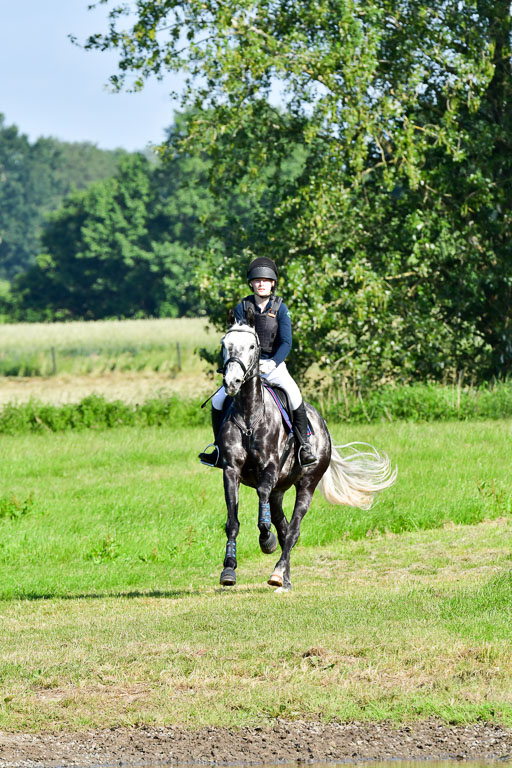 Goldene Schärpe PFerde  in Löningen  11+12.6.22 | 11062022 - Gelände 1 Abt_0037 