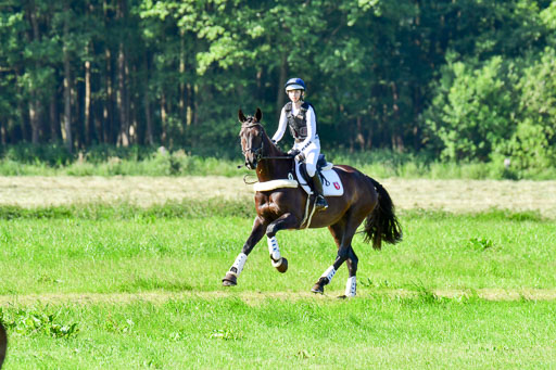 Goldene Schärpe PFerde  in Löningen  11+12.6.22 | 11062022 - Gelände 1 Abt_0068 