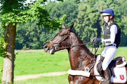 Goldene Schärpe PFerde  in Löningen  11+12.6.22 | 11062022 - Gelände 1 Abt_0075 