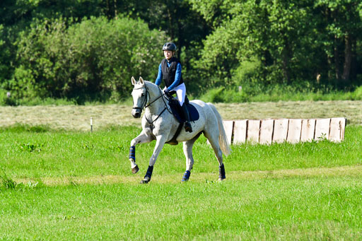 Goldene Schärpe PFerde  in Löningen  11+12.6.22 | 11062022 - Gelände 1 Abt_0091 