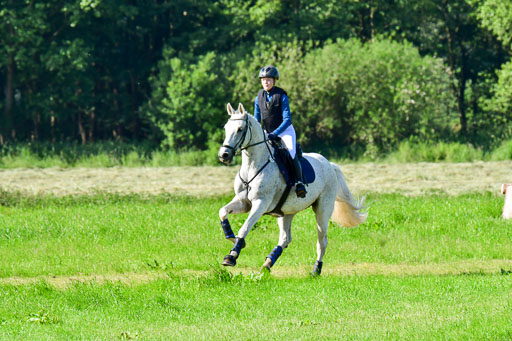Goldene Schärpe PFerde  in Löningen  11+12.6.22 | 11062022 - Gelände 1 Abt_0092 