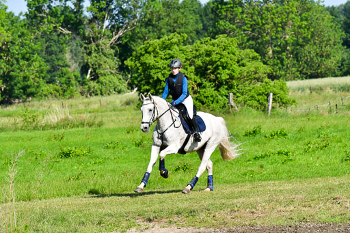 Goldene Schärpe PFerde  in Löningen  11+12.6.22 | 11062022 - Gelände 1 Abt_0096 