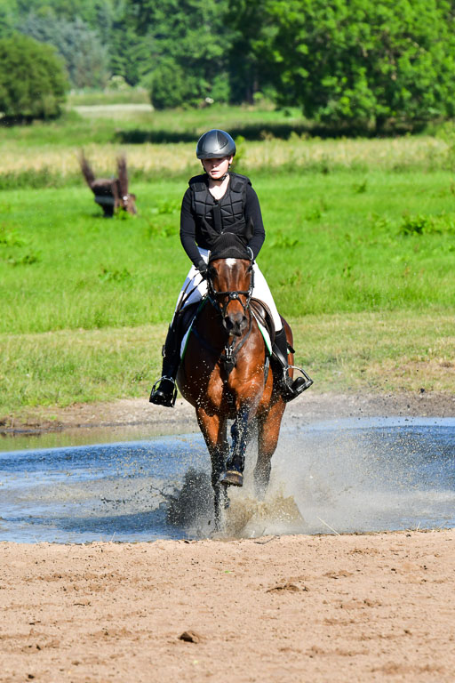 Goldene Schärpe PFerde  in Löningen  11+12.6.22 | 11062022 - Gelände 1 Abt_0111 