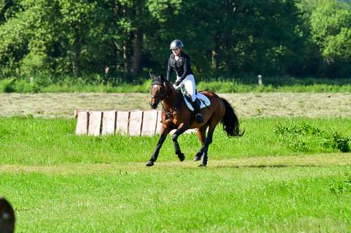 Goldene Schärpe PFerde  in Löningen  11+12.6.22 | 11062022 - Gelände 1 Abt_0114 