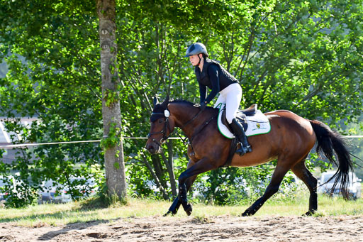 Goldene Schärpe PFerde  in Löningen  11+12.6.22 | 11062022 - Gelände 1 Abt_0123 