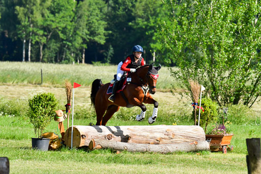 Goldene Schärpe PFerde  in Löningen  11+12.6.22 | 11062022 - Gelände 1 Abt_0125 