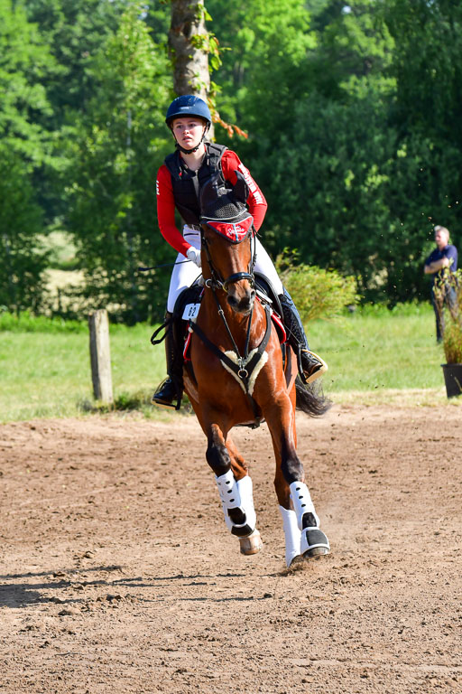 Goldene Schärpe PFerde  in Löningen  11+12.6.22 | 11062022 - Gelände 1 Abt_0128 