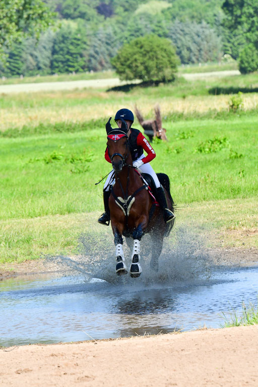 Goldene Schärpe PFerde  in Löningen  11+12.6.22 | 11062022 - Gelände 1 Abt_0135 
