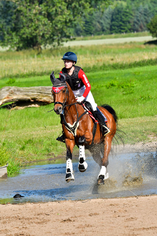 Goldene Schärpe PFerde  in Löningen  11+12.6.22 | 11062022 - Gelände 1 Abt_0140 