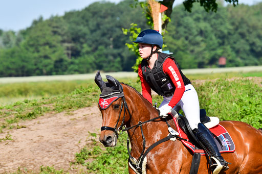 Goldene Schärpe PFerde  in Löningen  11+12.6.22 | 11062022 - Gelände 1 Abt_0142 
