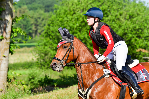 Goldene Schärpe PFerde  in Löningen  11+12.6.22 | 11062022 - Gelände 1 Abt_0143 