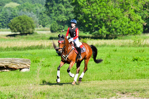 Goldene Schärpe PFerde  in Löningen  11+12.6.22 | 11062022 - Gelände 1 Abt_0146 