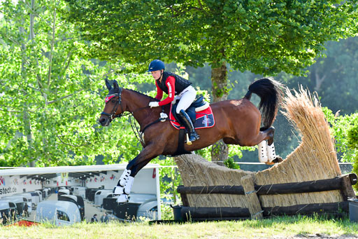 Goldene Schärpe PFerde  in Löningen  11+12.6.22 | 11062022 - Gelände 1 Abt_0151 