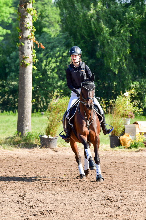 Goldene Schärpe PFerde  in Löningen  11+12.6.22 | 11062022 - Gelände 1 Abt_0156 