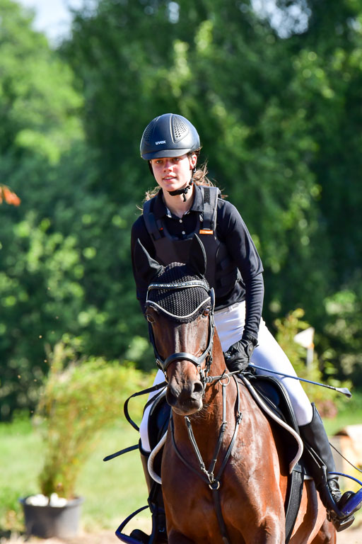 Goldene Schärpe PFerde  in Löningen  11+12.6.22 | 11062022 - Gelände 1 Abt_0159 