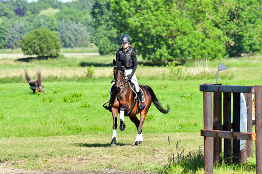 Goldene Schärpe PFerde  in Löningen  11+12.6.22 | 11062022 - Gelände 1 Abt_0162 