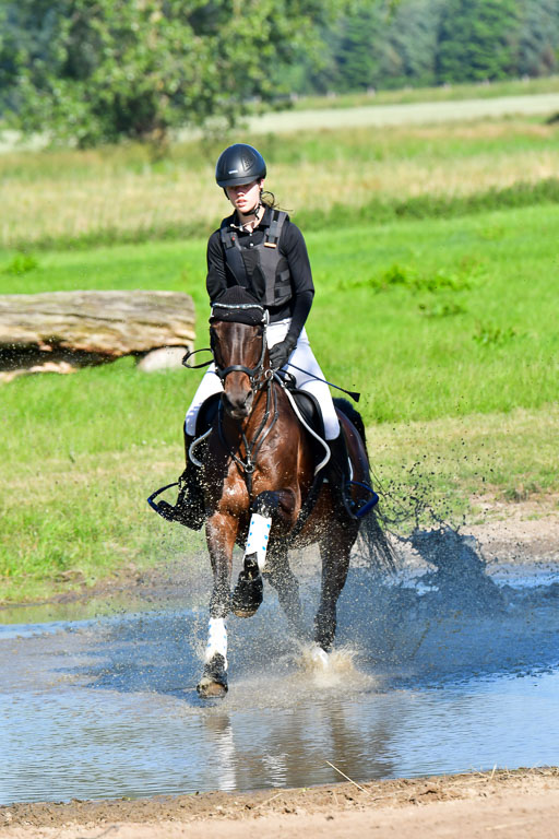 Goldene Schärpe PFerde  in Löningen  11+12.6.22 | 11062022 - Gelände 1 Abt_0164 