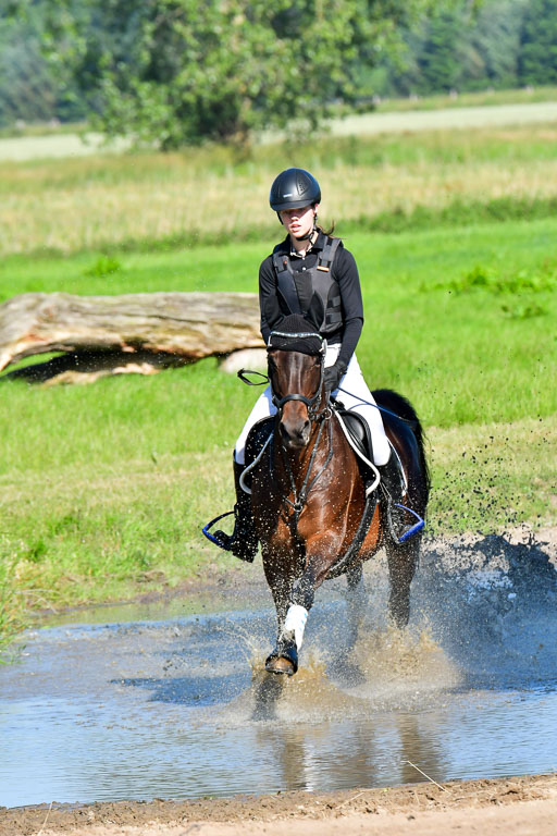 Goldene Schärpe PFerde  in Löningen  11+12.6.22 | 11062022 - Gelände 1 Abt_0165 
