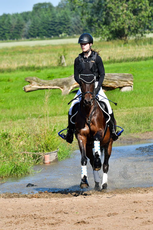Goldene Schärpe PFerde  in Löningen  11+12.6.22 | 11062022 - Gelände 1 Abt_0167 
