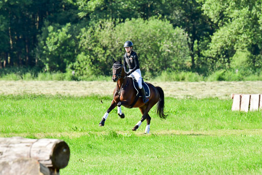 Goldene Schärpe PFerde  in Löningen  11+12.6.22 | 11062022 - Gelände 1 Abt_0171 