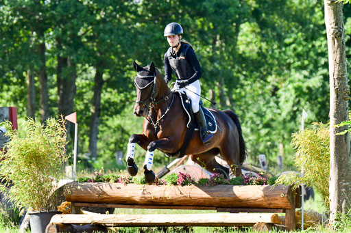 Goldene Schärpe PFerde  in Löningen  11+12.6.22 | 11062022 - Gelände 1 Abt_0173 