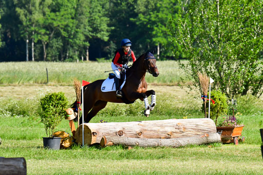 Goldene Schärpe PFerde  in Löningen  11+12.6.22 | 11062022 - Gelände 1 Abt_0181 