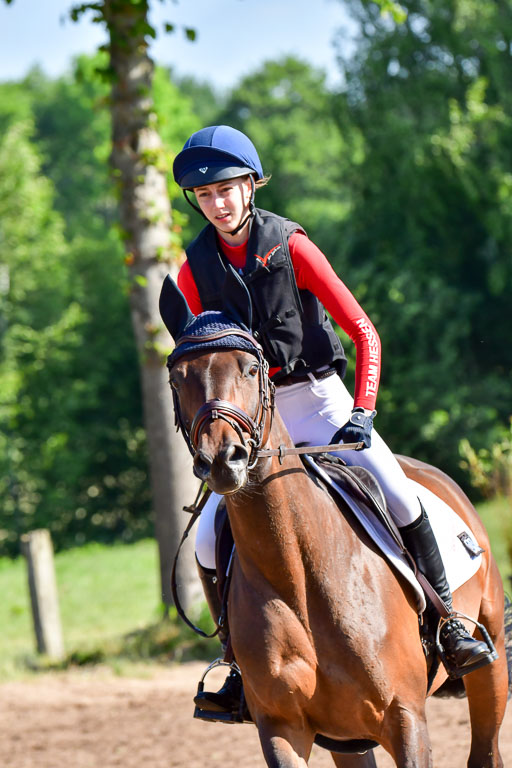 Goldene Schärpe PFerde  in Löningen  11+12.6.22 | 11062022 - Gelände 1 Abt_0185 