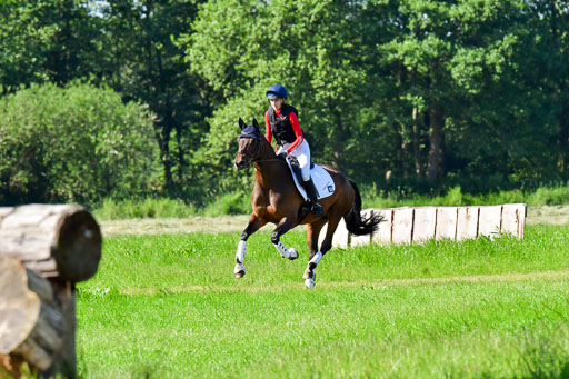 Goldene Schärpe PFerde  in Löningen  11+12.6.22 | 11062022 - Gelände 1 Abt_0194 