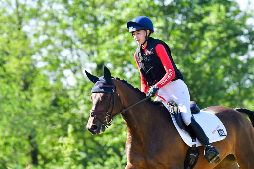 Goldene Schärpe PFerde  in Löningen  11+12.6.22 | 11062022 - Gelände 1 Abt_0197 