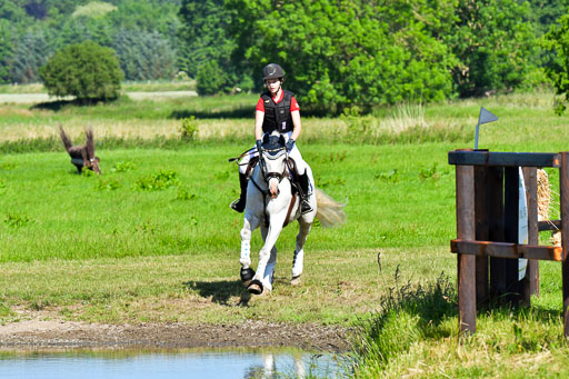 Goldene Schärpe PFerde  in Löningen  11+12.6.22 | 11062022 - Gelände 1 Abt_0211 