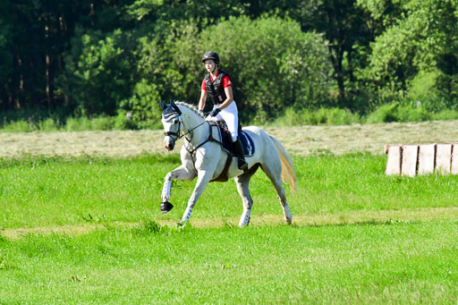 Goldene Schärpe PFerde  in Löningen  11+12.6.22 | 11062022 - Gelände 1 Abt_0219 