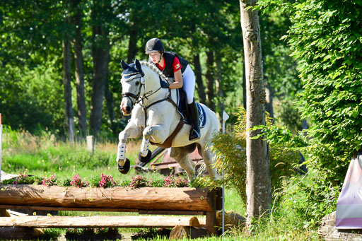 Goldene Schärpe PFerde  in Löningen  11+12.6.22 | 11062022 - Gelände 1 Abt_0221 