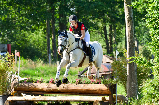 Goldene Schärpe PFerde  in Löningen  11+12.6.22 | 11062022 - Gelände 1 Abt_0222 