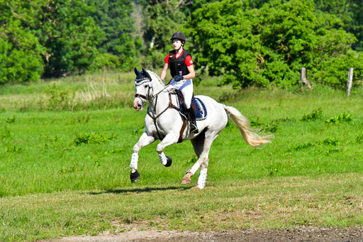 Goldene Schärpe PFerde  in Löningen  11+12.6.22 | 11062022 - Gelände 1 Abt_0223 