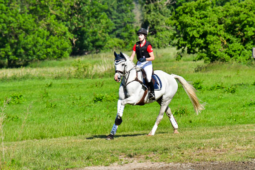 Goldene Schärpe PFerde  in Löningen  11+12.6.22 | 11062022 - Gelände 1 Abt_0224 
